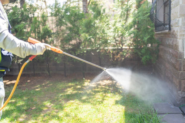 Best Pest Prevention Services  in Nipomo, CA